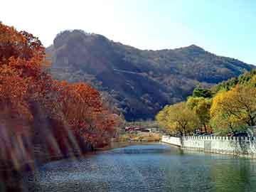 澳门二四六天天免费好材料，海意背景